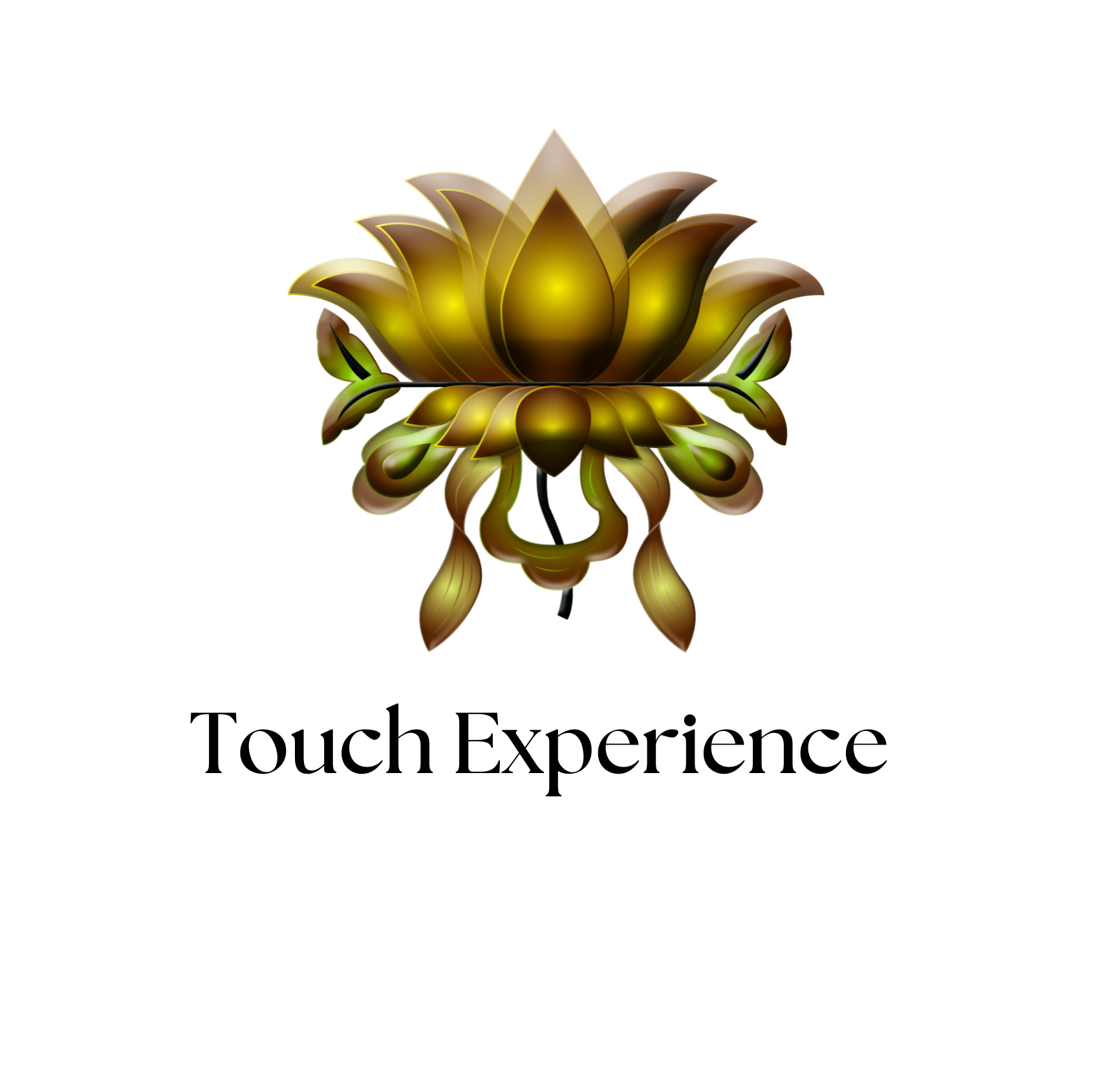 Touch Experience